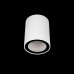 Дополнительное фото Светильник накладной Loft IT Rush 10344 White: Купить в Интернет магазин освещения GCSVET.RU