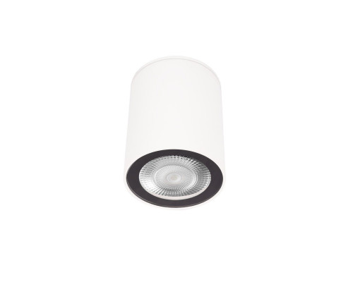 Основное фото Светильник накладной Loft IT Rush 10344 White: Купить в Интернет магазин освещения GCSVET.RU