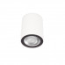 Основное фото Светильник накладной Loft IT Rush 10344 White: Купить в Интернет магазин освещения GCSVET.RU
