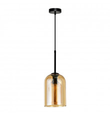 Светильник подвесной Arte Lamp Paio A7015SP-1BK