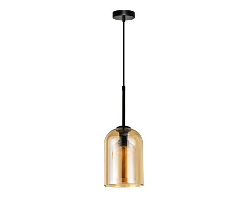 Основное фото Светильник подвесной Arte Lamp Paio A7015SP-1BK: Купить в Интернет магазин освещения GCSVET.RU