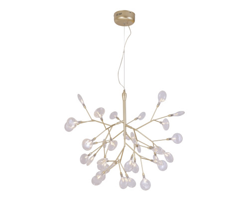 Основное фото Люстра подвесная Crystal Lux Evita EVITA SP36 GOLD/TRANSPARENT: Купить в Интернет магазин освещения GCSVET.RU