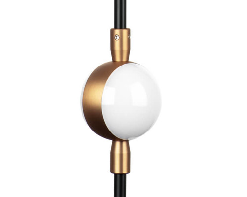 Дополнительное фото Настенный светильник Lightstar Bergamo 745647: Купить в Интернет магазин освещения GCSVET.RU