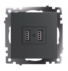 Розетка USB Stekker Катрин GLS10-7115-06 49422