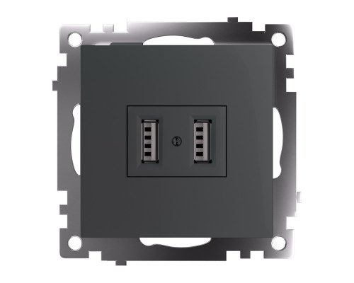 Основное фото Розетка USB Stekker Катрин GLS10-7115-06 49422: Купить в Интернет магазин освещения GCSVET.RU