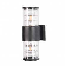 Светильник настенный для улицы Arte Lamp Tokyo A5315AL-2BK