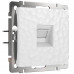 Основное фото Розетка Werkel Hammer Ethernet RJ-45 белый W1281001 4690389163029: Купить в Интернет магазин освещения GCSVET.RU