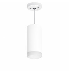 Светильник подвесной Lightstar RULLO RP648680 (216486+590086+202480)