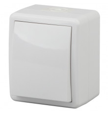 Выключатель одноклавишный ЭРА Эксперт 10AX 250V IP54 11-1401-01 Б0020669