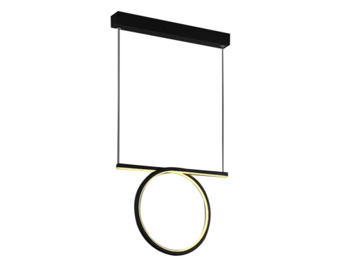 Основное фото Светильник подвесной Delight Collection LED Ring SS-L0834P-20W: Купить в Интернет магазин освещения GCSVET.RU