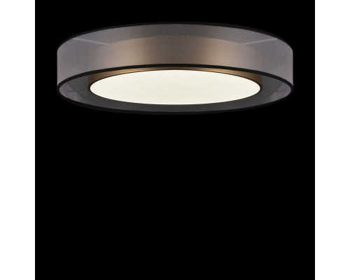 Дополнительное фото Светильник потолочный Freya Zoticus FR6005CL-L48G: Купить в Интернет магазин освещения GCSVET.RU