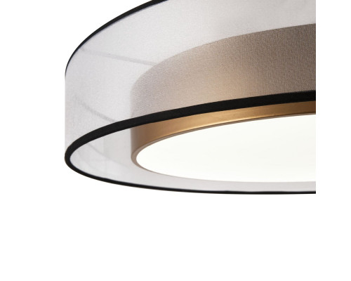 Дополнительное фото Светильник потолочный Freya Zoticus FR6005CL-L48G: Купить в Интернет магазин освещения GCSVET.RU