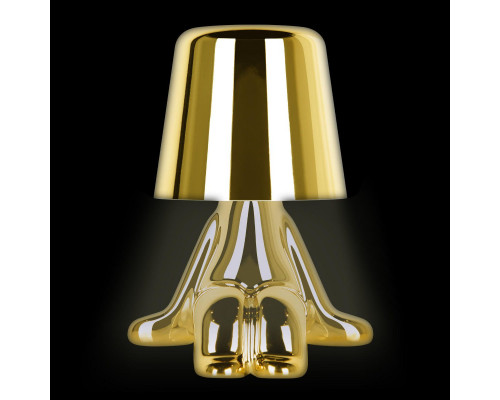 Дополнительное фото Лампа настольная Loft IT Brothers 10233/D Gold: Купить в Интернет магазин освещения GCSVET.RU