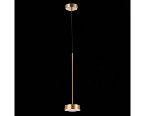 Дополнительное фото Светильник подвесной LED ST Luce Pances SL6000.303.01: Купить в Интернет магазин освещения GCSVET.RU