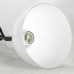 Дополнительное фото Светильник спот Lussole Loft LSP-8539: Купить в Интернет магазин освещения GCSVET.RU
