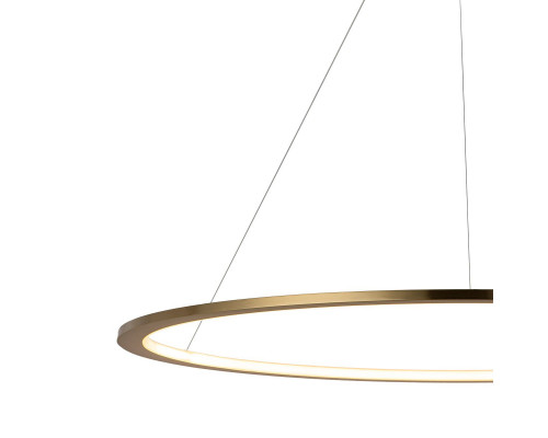 Дополнительное фото Светильник подвесной LED Loft IT Ring 10014XL: Купить в Интернет магазин освещения GCSVET.RU