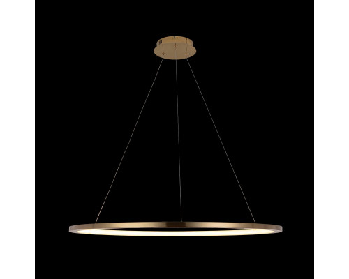 Дополнительное фото Светильник подвесной LED Loft IT Ring 10014XL: Купить в Интернет магазин освещения GCSVET.RU
