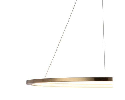 Дополнительное фото Светильник подвесной LED Loft IT Ring 10014XL: Купить в Интернет магазин освещения GCSVET.RU