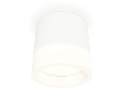 Основное фото Светильник потолочный Ambrella Light Techno Spot XS8110001 (C8110, N8401): Купить в Интернет магазин освещения GCSVET.RU