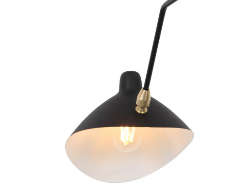 Дополнительное фото Люстра подвесная ST Luce Spruzzo SL305.402.06: Купить в Интернет магазин освещения GCSVET.RU