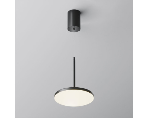 Дополнительное фото Светильник подвесной Maytoni Plato P076PL-L12W4K-B: Купить в Интернет магазин освещения GCSVET.RU
