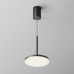 Дополнительное фото Светильник подвесной Maytoni Plato P076PL-L12W4K-B: Купить в Интернет магазин освещения GCSVET.RU
