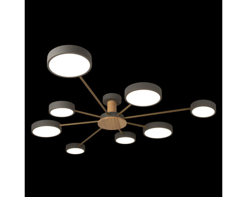 Дополнительное фото Люстра потолочная Loft IT Sunrise 10316/8 Grey: Купить в Интернет магазин освещения GCSVET.RU