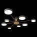 Дополнительное фото Люстра потолочная Loft IT Sunrise 10316/8 Grey: Купить в Интернет магазин освещения GCSVET.RU