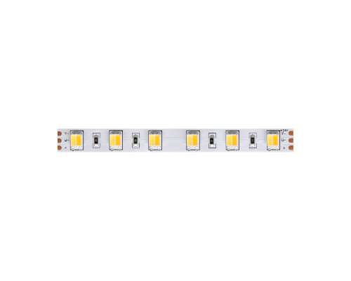 Основное фото Лента светодиодная Maytoni Technical Led strip 24В 5050+5050 14,4Вт/м 5м IP20 20043: Купить в Интернет магазин освещения GCSVET.RU