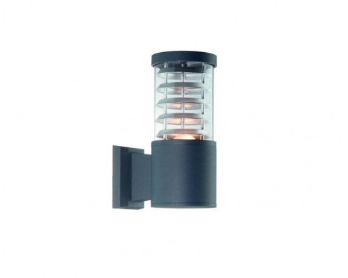 Основное фото Светильник настенный для улицы Ideal Lux Tronco AP1 Antracite 027005: Купить в Интернет магазин освещения GCSVET.RU