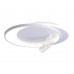 Основное фото Люстра потолочная Ambrella Light Comfort LineTech FL51391: Купить в Интернет магазин освещения GCSVET.RU