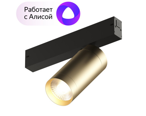 Основное фото Светильник трековый Denkirs Smart Spot DK8020-BG: Купить в Интернет магазин освещения GCSVET.RU