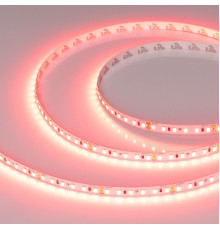 Лента светодиодная Arlight RT-A120-8mm 24V Scarlet (9.6 W/m, IP20, 2835, 5m) 043383