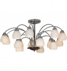 Люстра потолочная Lussole Apiro LSF-2403-15