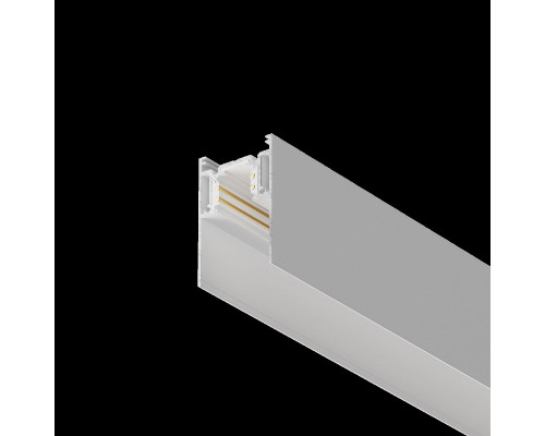 Дополнительное фото Шинопровод Maytoni Technical Magnetic track TRX004-211W: Купить в Интернет магазин освещения GCSVET.RU