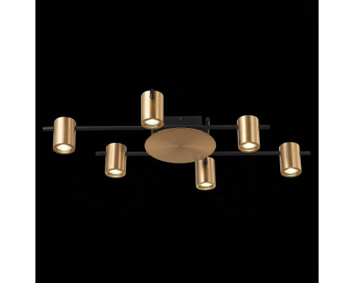 Дополнительное фото Люстра потолочная ST Luce Veroli SL1207.402.06: Купить в Интернет магазин освещения GCSVET.RU