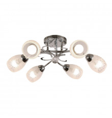Люстра потолочная ARTE Lamp A2004PL-6CC