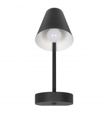 Настенный светильник Loft IT Shelf 10216/1W Black