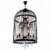 Дополнительное фото Люстра подвесная LOFT IT Vintage birdcage Loft1891/12: Купить в Интернет магазин освещения GCSVET.RU