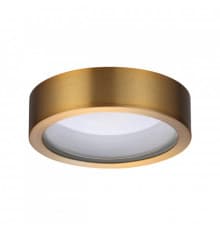 Светильник потолочный Odeon Light Reus 4342/7CL