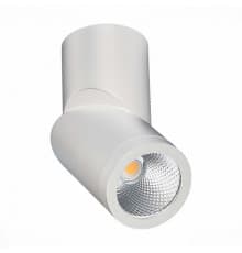 Светодиодный Светильник спот ST Luce ST650.532.10