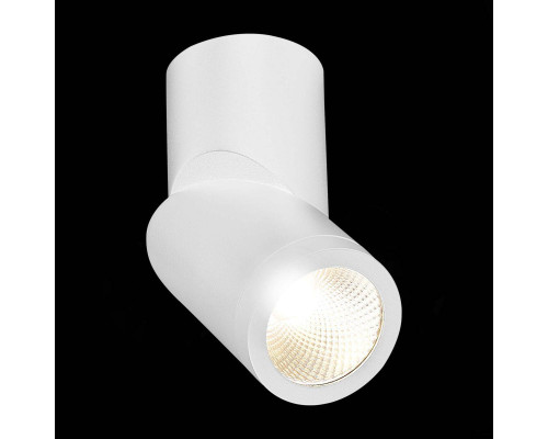 Дополнительное фото Светодиодный Светильник спот ST Luce ST650.532.10: Купить в Интернет магазин освещения GCSVET.RU