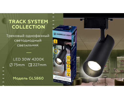 Дополнительное фото Светильник трековый (однофазный) Ambrella Light Track System GL5860: Купить в Интернет магазин освещения GCSVET.RU