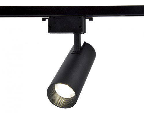 Основное фото Светильник трековый (однофазный) Ambrella Light Track System GL5860: Купить в Интернет магазин освещения GCSVET.RU