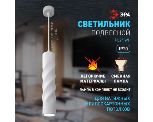 Дополнительное фото Светильник подвесной Эра PL24 WH Б0059810: Купить в Интернет магазин освещения GCSVET.RU