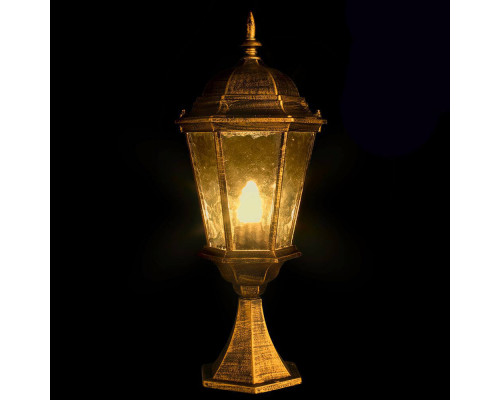 Дополнительное фото Светильник уличный Arte Lamp Genova A1204FN-1BN: Купить в Интернет магазин освещения GCSVET.RU