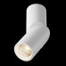 Дополнительное фото Светодиодный Светильник спот Maytoni Dafne C027CL-L10W 3000K: Купить в Интернет магазин освещения GCSVET.RU