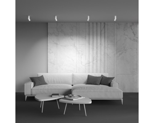 Дополнительное фото Светодиодный Светильник спот Maytoni Dafne C027CL-L10W 3000K: Купить в Интернет магазин освещения GCSVET.RU