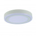 Основное фото Светильник потолочный LED Arte Lamp Antares A7824PL-2WH: Купить в Интернет магазин освещения GCSVET.RU