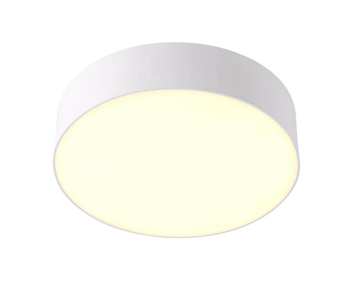 Основное фото Светильник потолочный LED Novotech Ornate 358107: Купить в Интернет магазин освещения GCSVET.RU